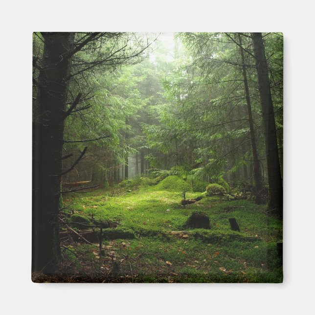 Sterious Forest Magnet (Front)
