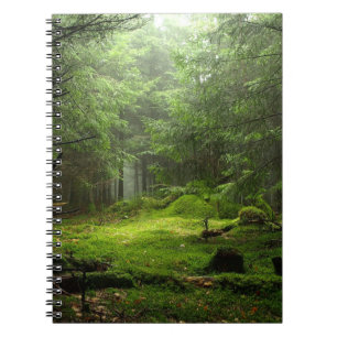 Sterious Forest Notebook