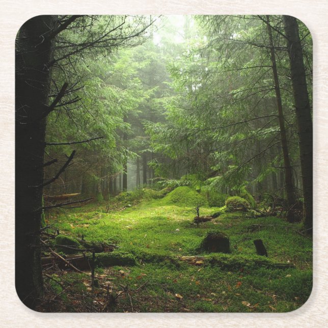 Sterious Forest Square Paper Coaster (Front)
