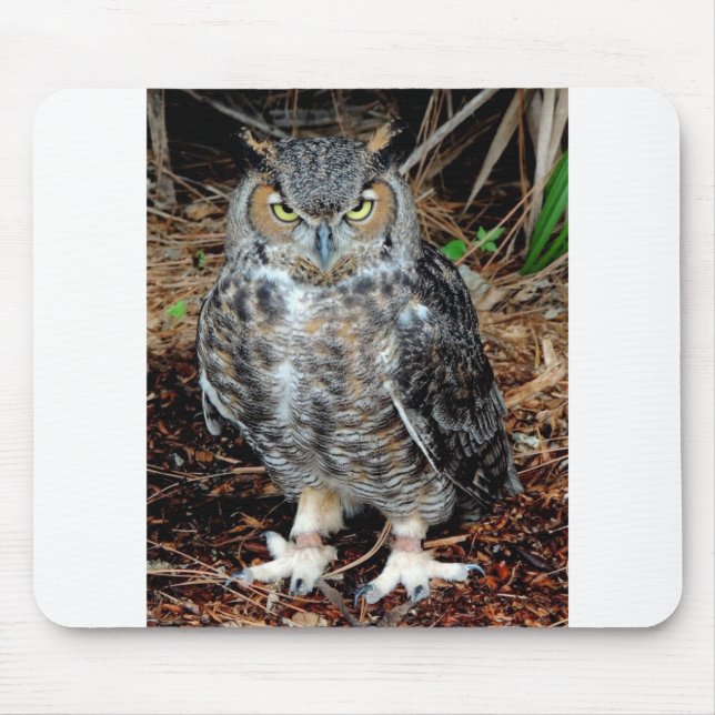 Stern Owl Mouse Pad (Front)