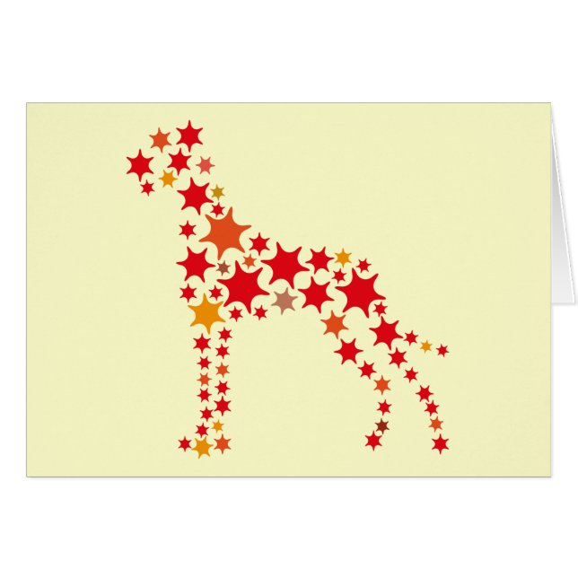 Sternchen Dogge (Front Horizontal)