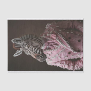 Steve the Zebra Tissue Paper