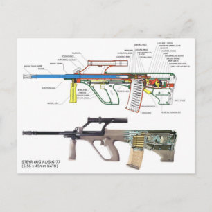 Steyr Aug Postcard