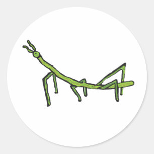 Stick Bug Insect Classic Round Sticker