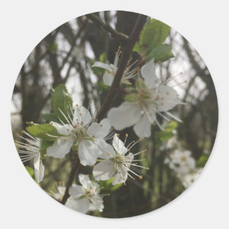 STICK IT - PURITY OF HOPE CLASSIC ROUND STICKER