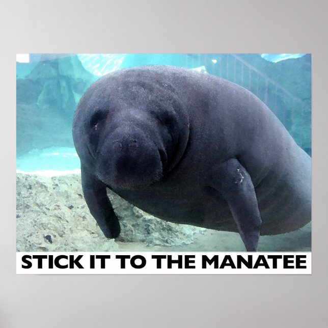 STICK IT TO THE MANATEE poster (Front)