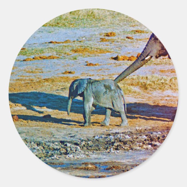 Sticker (Front)