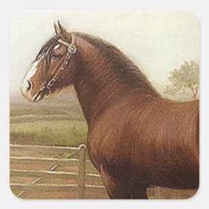 Sticker Antique Bay Clydesdale Draught Horse Parad