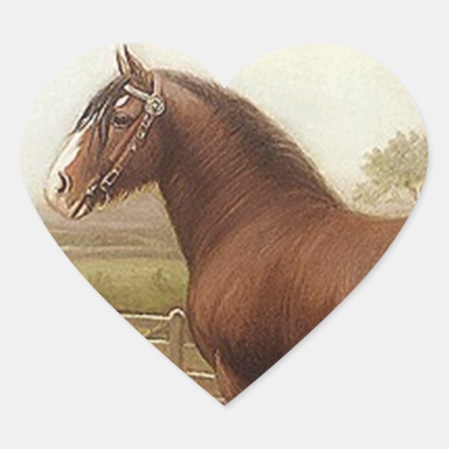 Sticker Antique Bay Clydesdale Draught Horse Parad (Front)