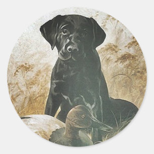STICKER Black Lab labrador  retriever decoy dog