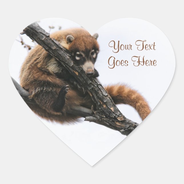 Sticker: Coatimundi #5 (Heart) Heart Sticker (Front)