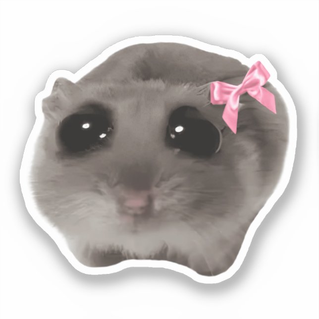 Sticker Coquette Sad Hamster Meme (Front)