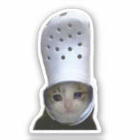 Sticker Crying Cat Croc Hat Meme