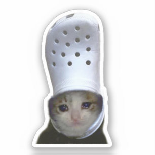 Sticker Crying Cat Croc Hat Meme