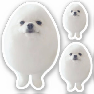 Sticker Egg Dog Meme