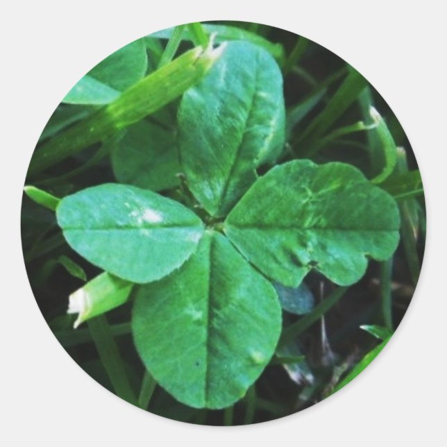 Sticker Four-Sheet Clover (Front)