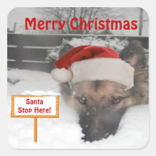 Sticker German Shepherd Santa Stop Here Sign