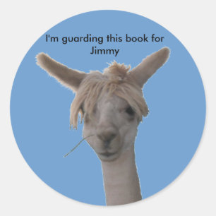 Sticker - I'm guarding this ...