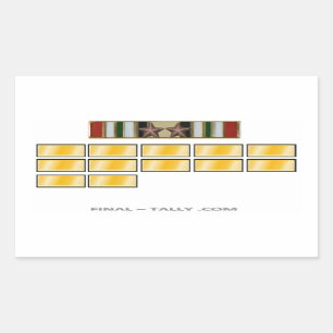 Sticker Iraq  12 month with Campaign Star