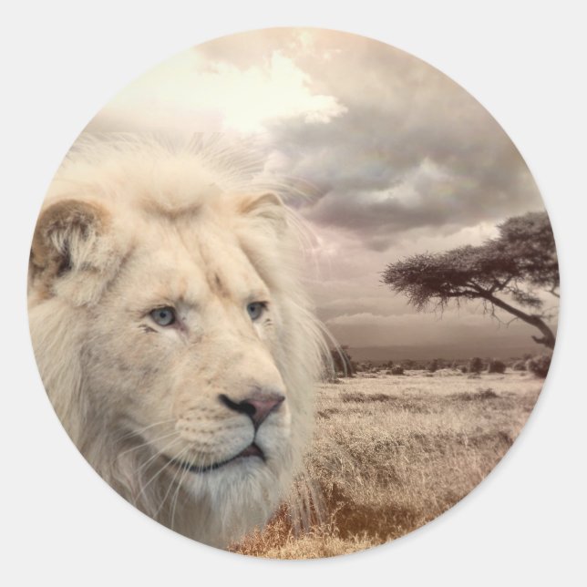 Sticker lion (Front)