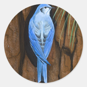 Sticker "Mountain Bluebird"