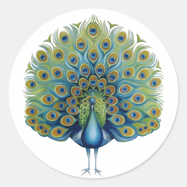 Sticker Peacock (Front)