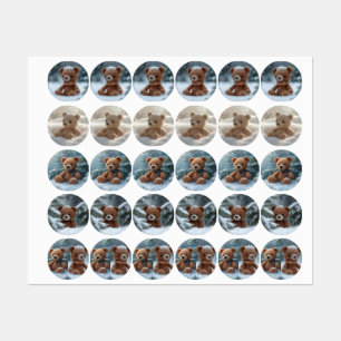 sticker penguen