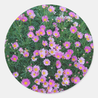 Sticker-Pink Flower Classic Round Sticker