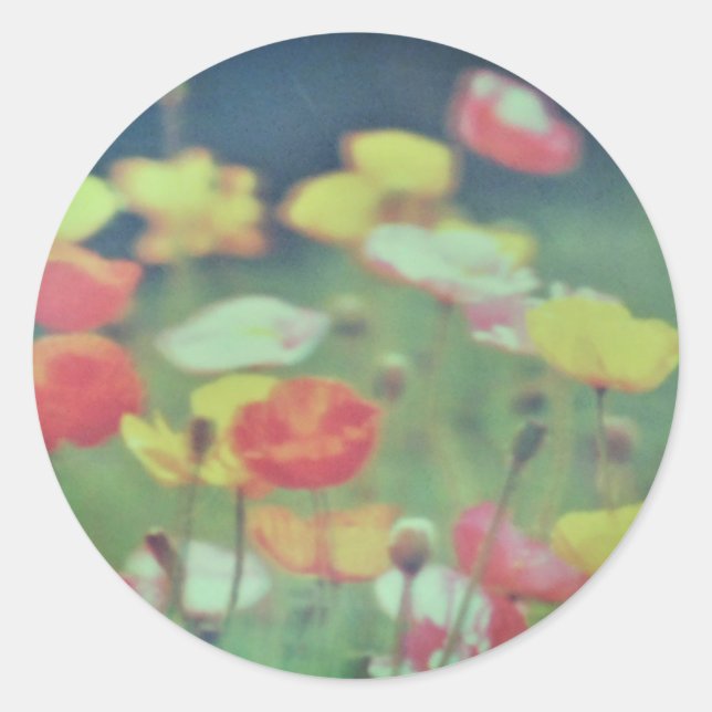 STICKER ROLL  (Front)