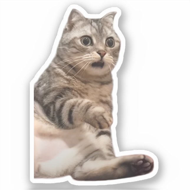 Sticker Shocked Cat Meme (Front)