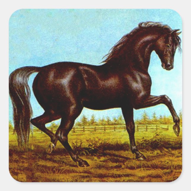 Sticker Vintage Black Beauty Horse Fancy Canter (Front)