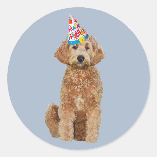Sticker w/ birthday golden doodle (Front)