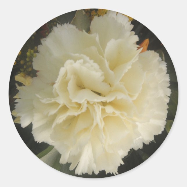 Sticker White Carnation Beauty (Front)