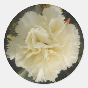 Sticker White Carnation Beauty