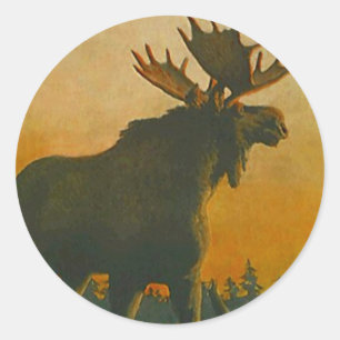 Sticker Wildlife Bull Moose @ Twilight Sundown