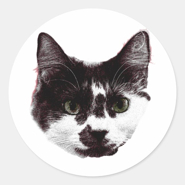 Sticker with a Stare | Ink Style Cat Sticker (Front)