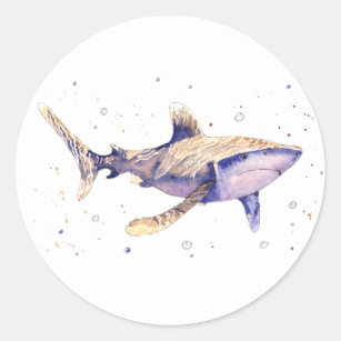 sticker with hand-painted shark