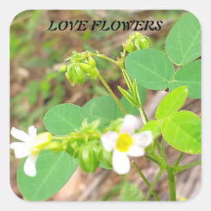 Sticker with nature related message