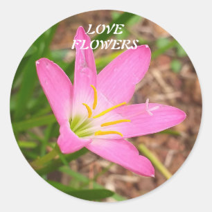 Sticker with nature related message