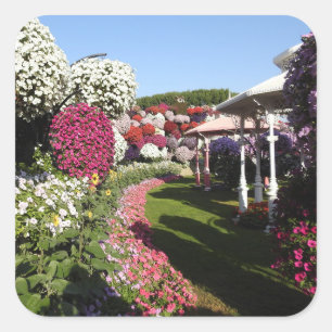 Sticker with Petunias Garden