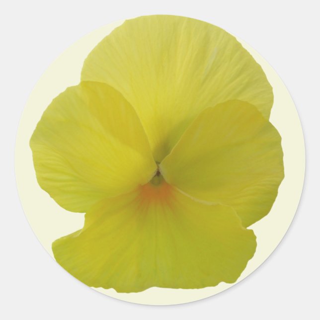 Stickers - Bearded Lemon Pansy (Front)