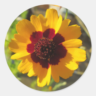 Stickers - Blanket Flower