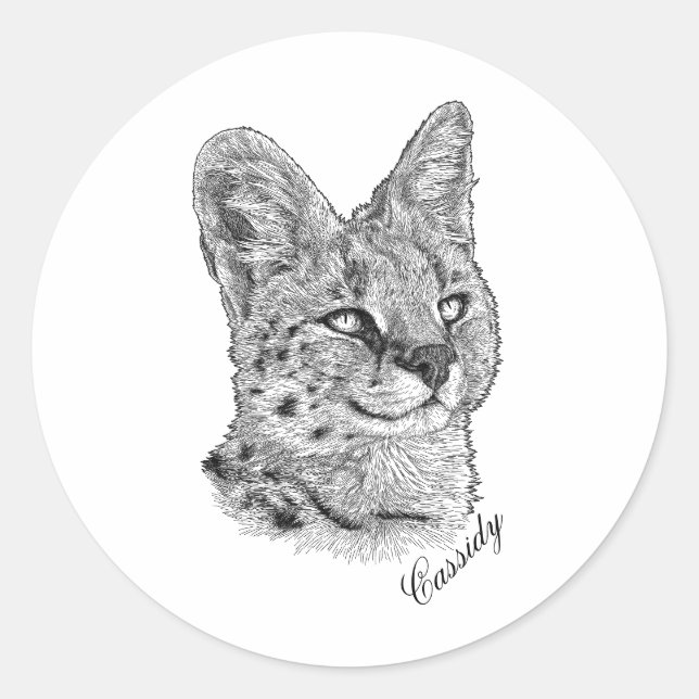 Stickers - Cassidy (Front)