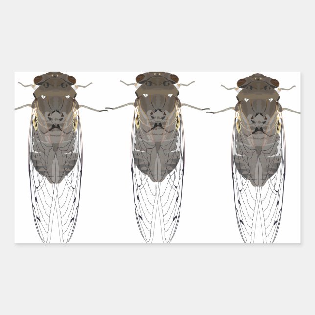 Stickers cicada  (Front)
