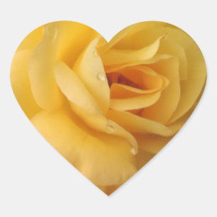 stickers coeur rose jaune