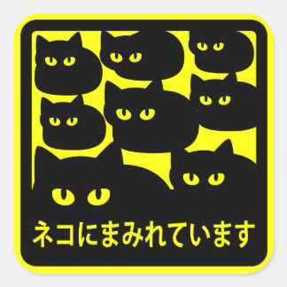 Stickers "Covered with Cats" Yellow