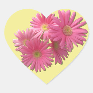 Stickers - Dark Pink Gerbera Daisies
