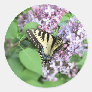 Stickers - ET Swallowtail on Lilac