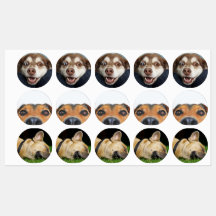 Stickers/labels with pictures of puppies