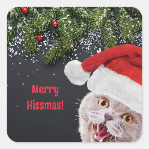 Stickers, Merry Hissmas Square Sticker
